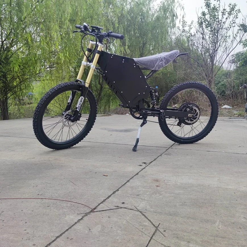 Electric Bicycle 3000W/5000W/8000W/12000W with Long Range Seat and Color Display