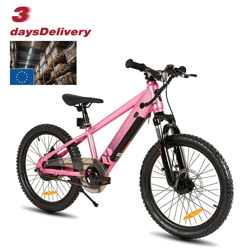 JOYKIE 20" & 24" 350W 32V Electric Mountain Bikes, Single Speed, Carbon Steel Frame, Kids' Ebikes