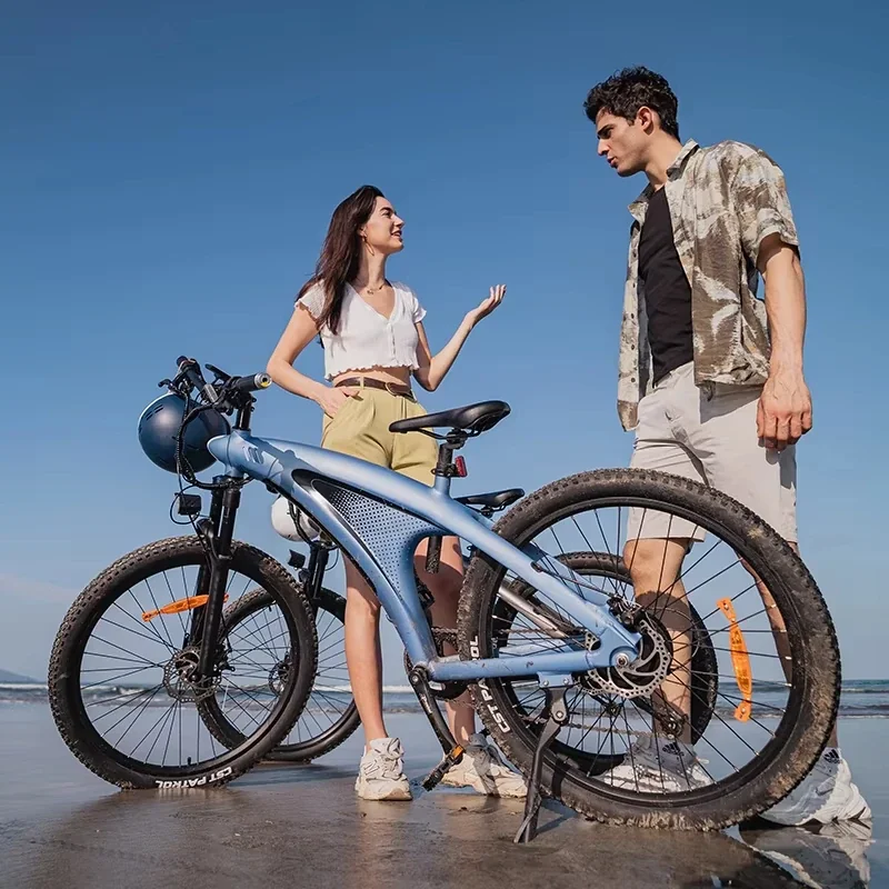 Electric Bike Bicycle - 48v 1000w Mountain Bike, 650w Snow Ebike (Wholesale)