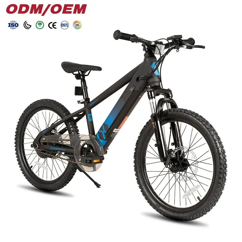 JOYKIE 20-Inch 250W 32V Electric Mountain Bike - Single Speed, Carbon Steel Frame, for Kids