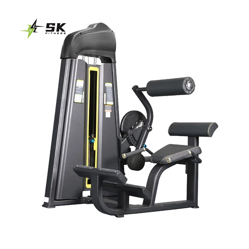 SK Fitness Commercial Fitness Machine: Strength Training Abdominal Crunch & Back Extension