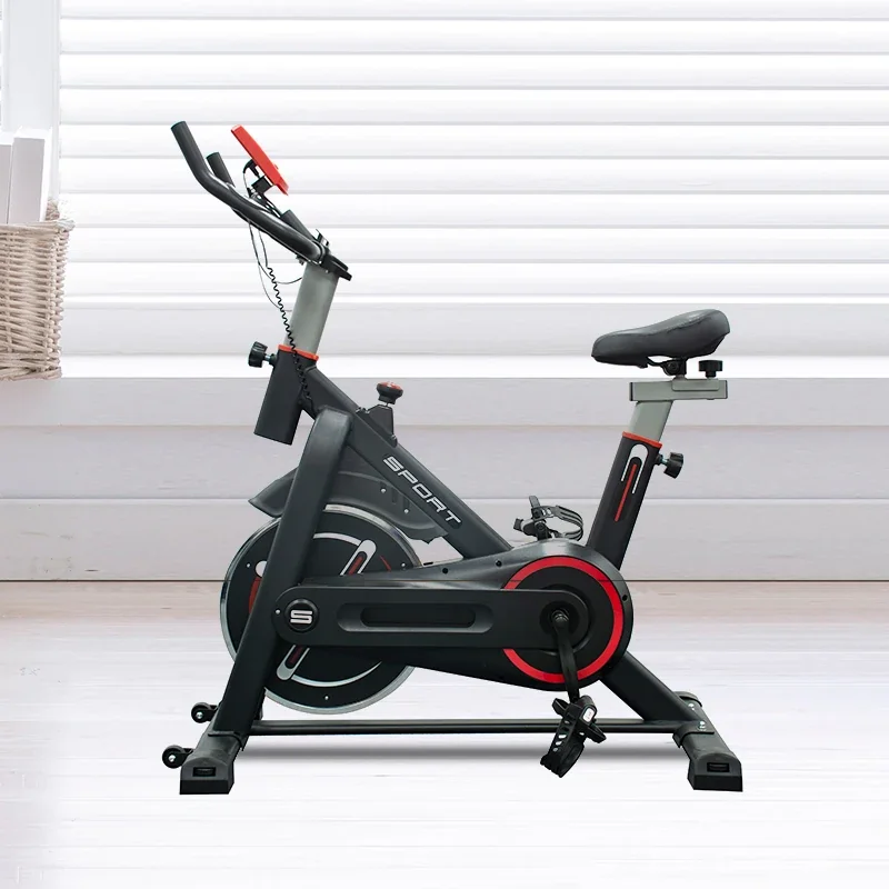 Multifunctional Electric Spinning Bike with Stainless Steel Motor - Aerobic Training for Home Gyms with Mobile Phone Holder