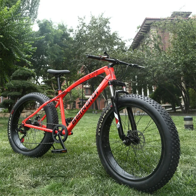 Variable Speed Fat Tire Beach & Mountain Bike with Steel Fork and Shock Absorbing System