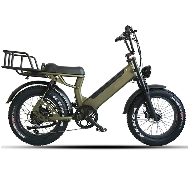 ANLOCHI 2022 Style Electric Cargo Bike - 20" Alloy, 2 Wheels, Full Suspension Fork