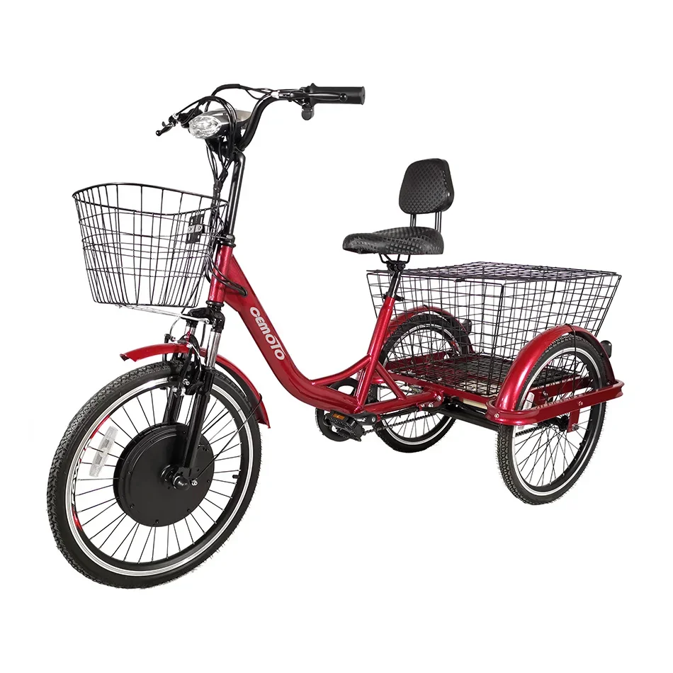 Family Cargo Electric Trike 500W 3-Wheel Bike for Adults