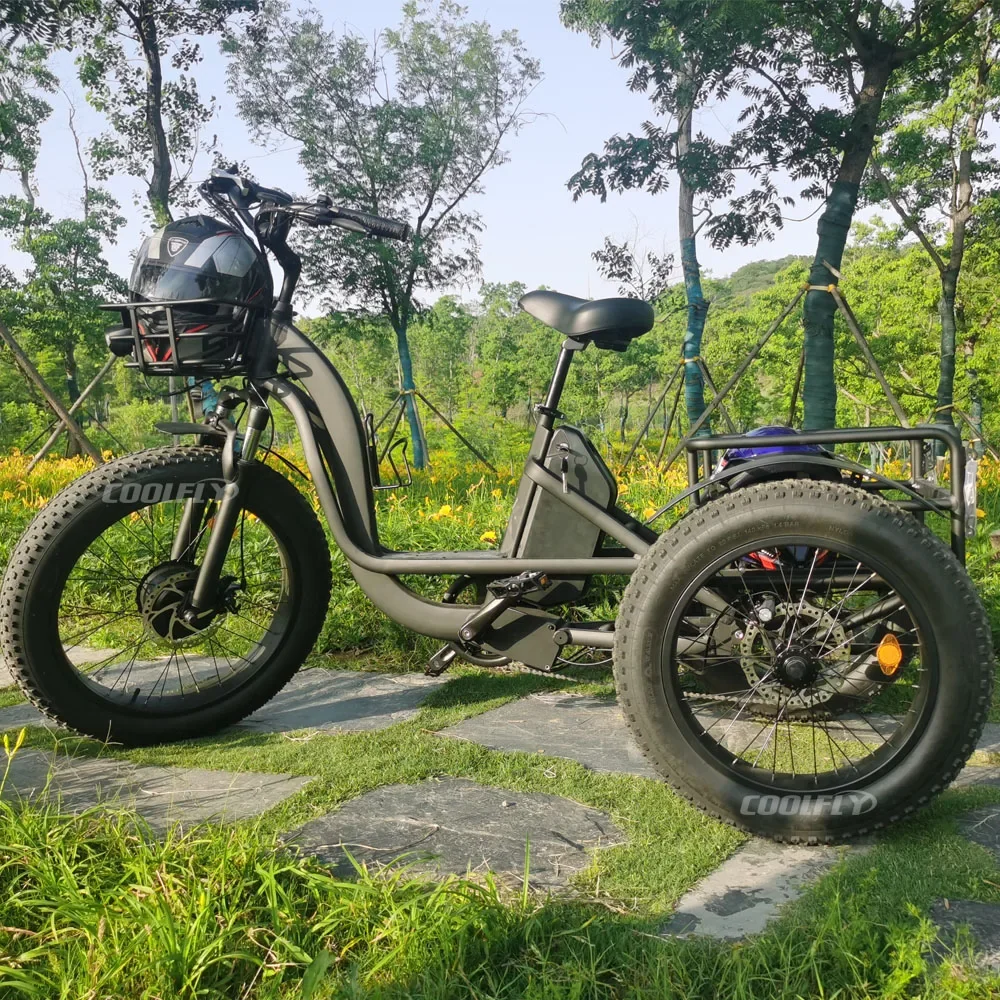High Quality 48V 750W 3-Wheel Family Cargo Electric Bike for Adults