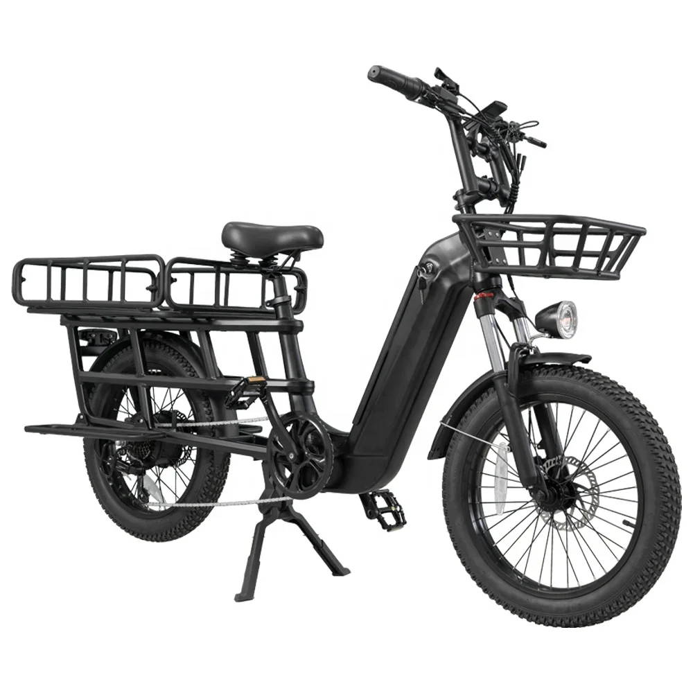 Electric Cargo Bike 20" 7-Speed 500W 48V 20Ah with Hydraulic Disc Brakes
