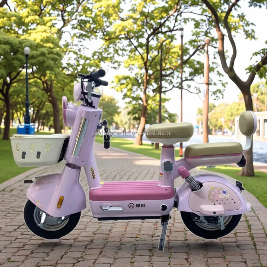 Customizable Electric Bike with Lead Acid Battery: Lightweight 2-Wheel City E-Bike